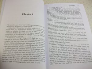 'The Powers That Be' Chapter 1 interior photo